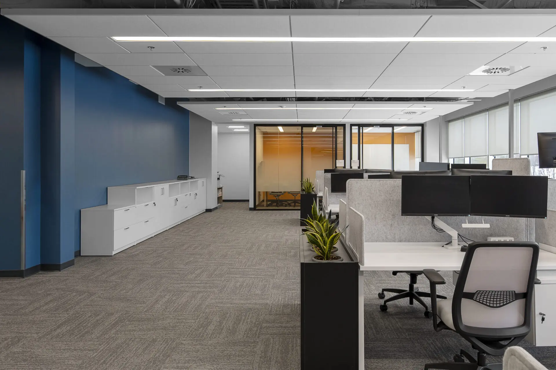 An open office with blue walls and desks designed for engineering and architecture professionals.