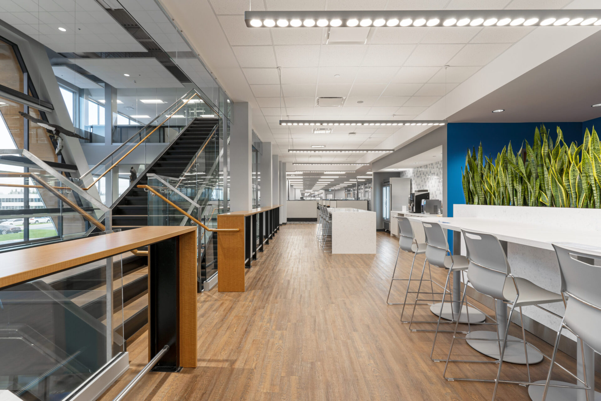 A wooden floor in an architecturally designed office.