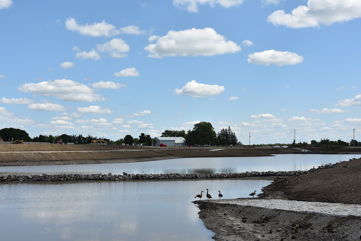 The Southwood 3 Stream Enhancement and Multi-Use Trail Extension includes a large body of water with birds standing in it.