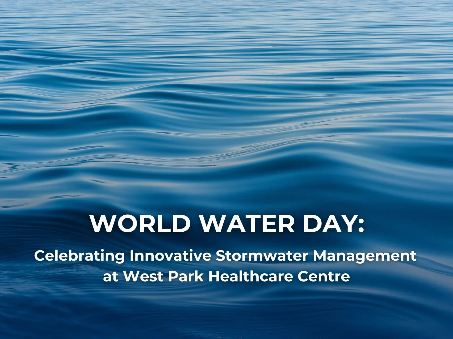 World Water Day: Celebrating Innovative Stormwater Management at West Park Healthcare Centre
