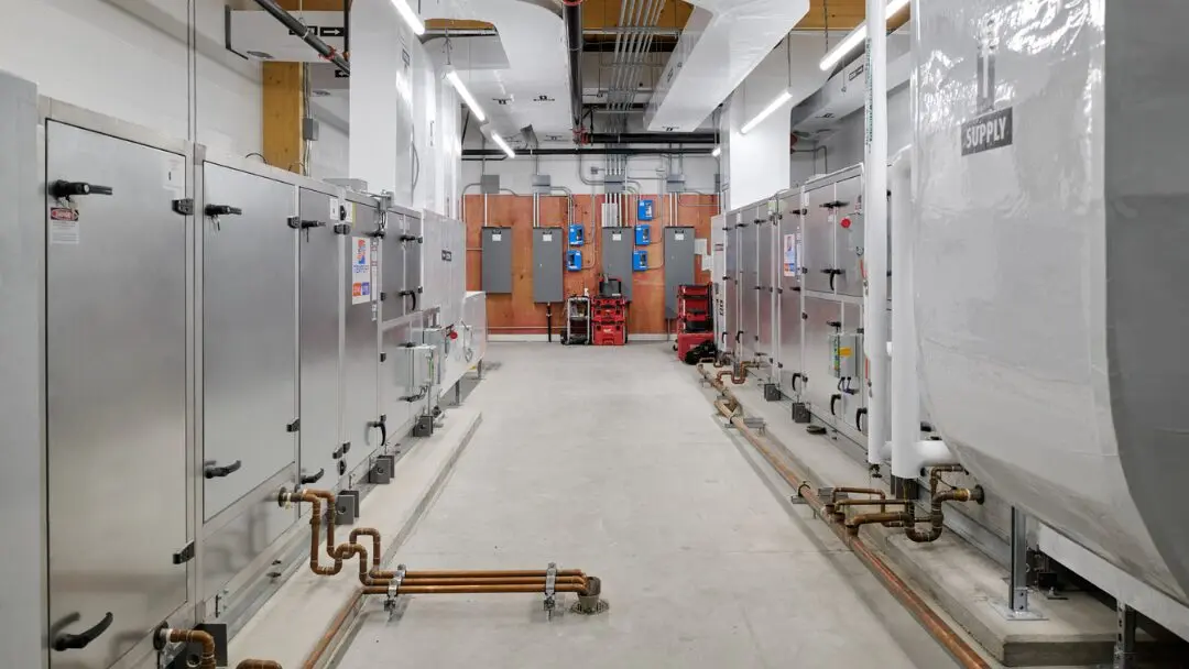 Sustainability as a Guiding Principle: Designing for a Greener Future