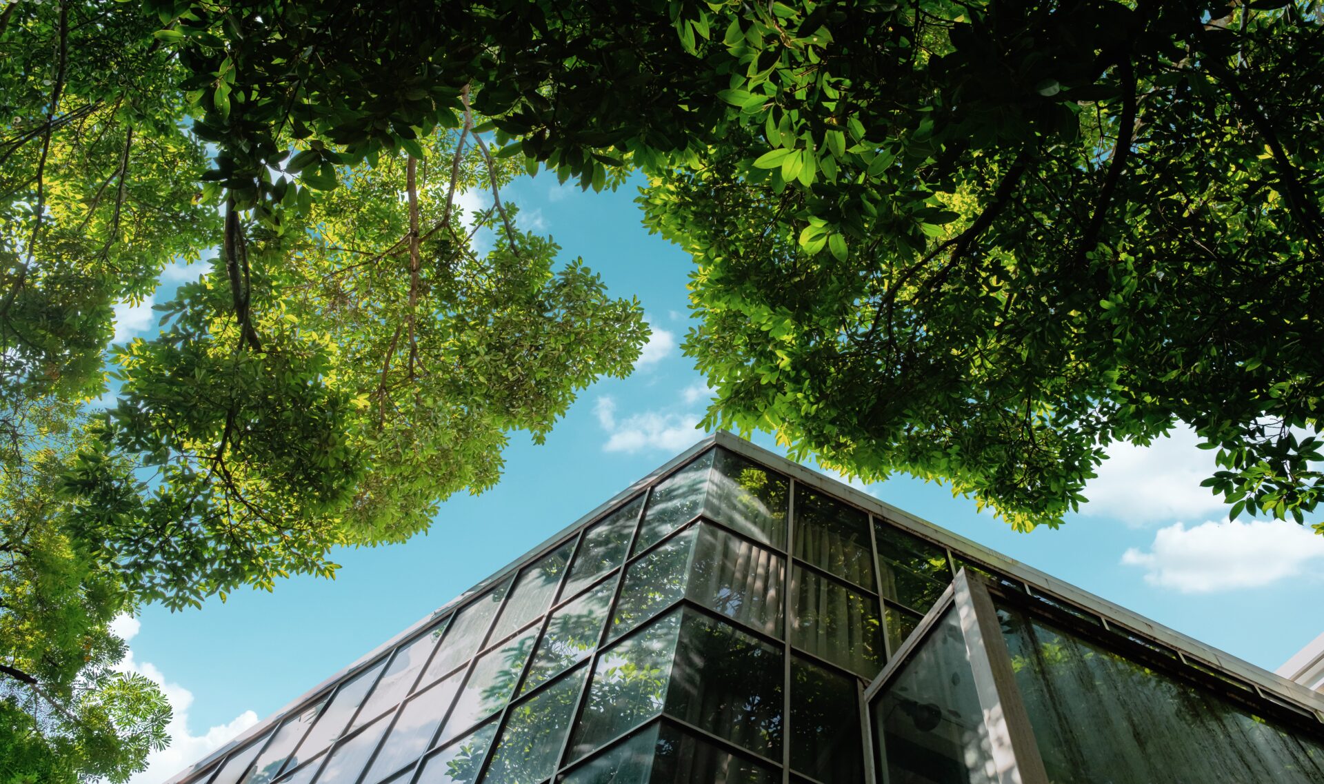 Secure Funding for a Greener Future